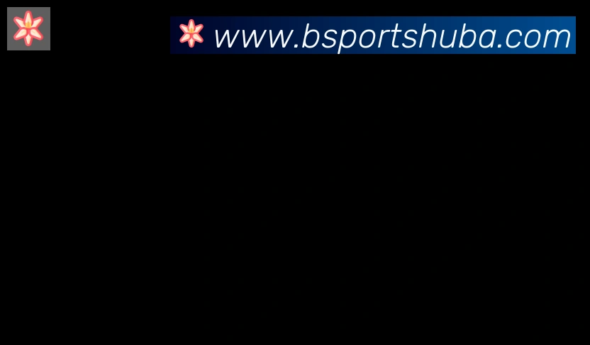 BSPORTS合作伙伴